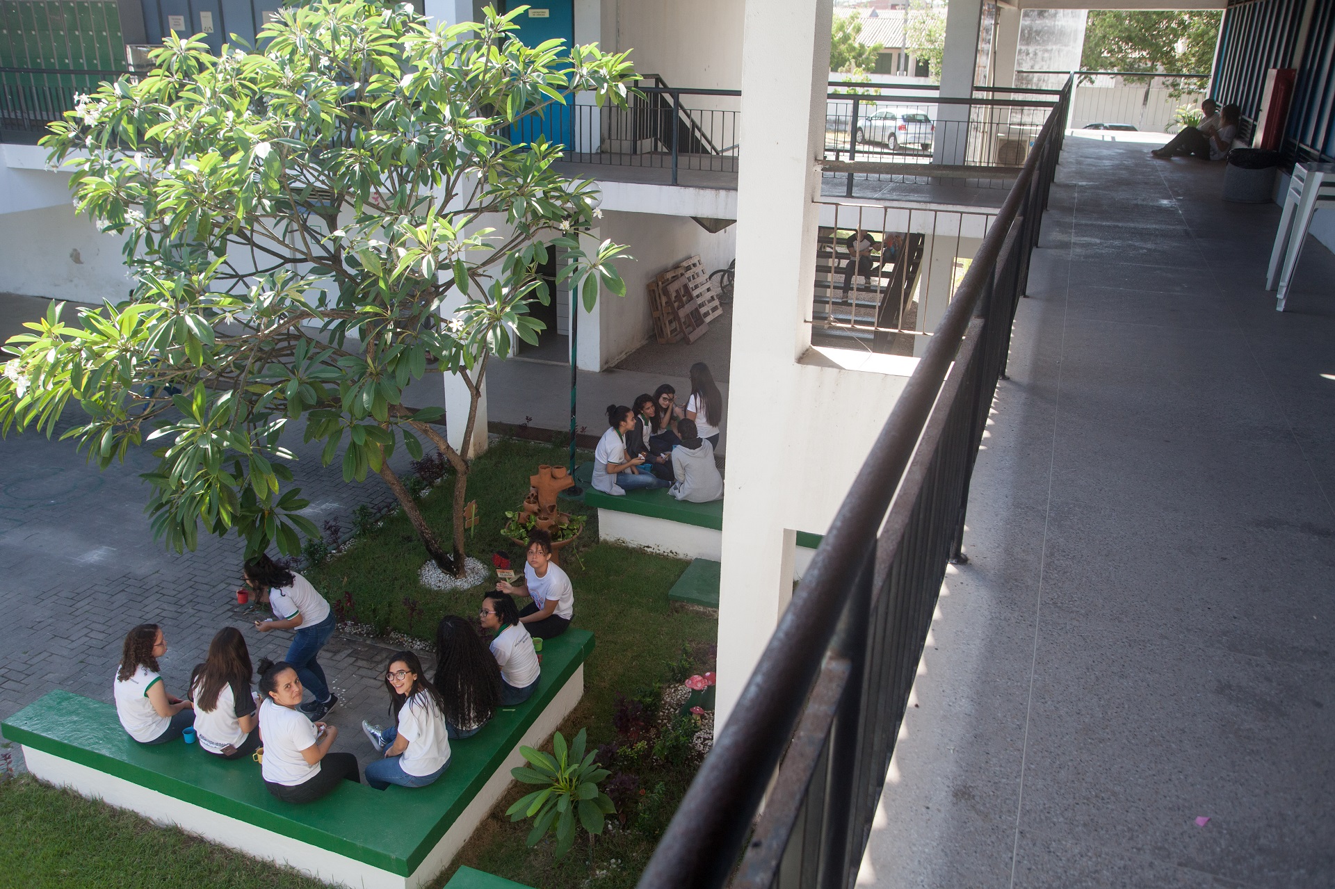 Escola Mario Alencar - Boletim aprendizagem em foco especiais  - Fotos Conexão Futura